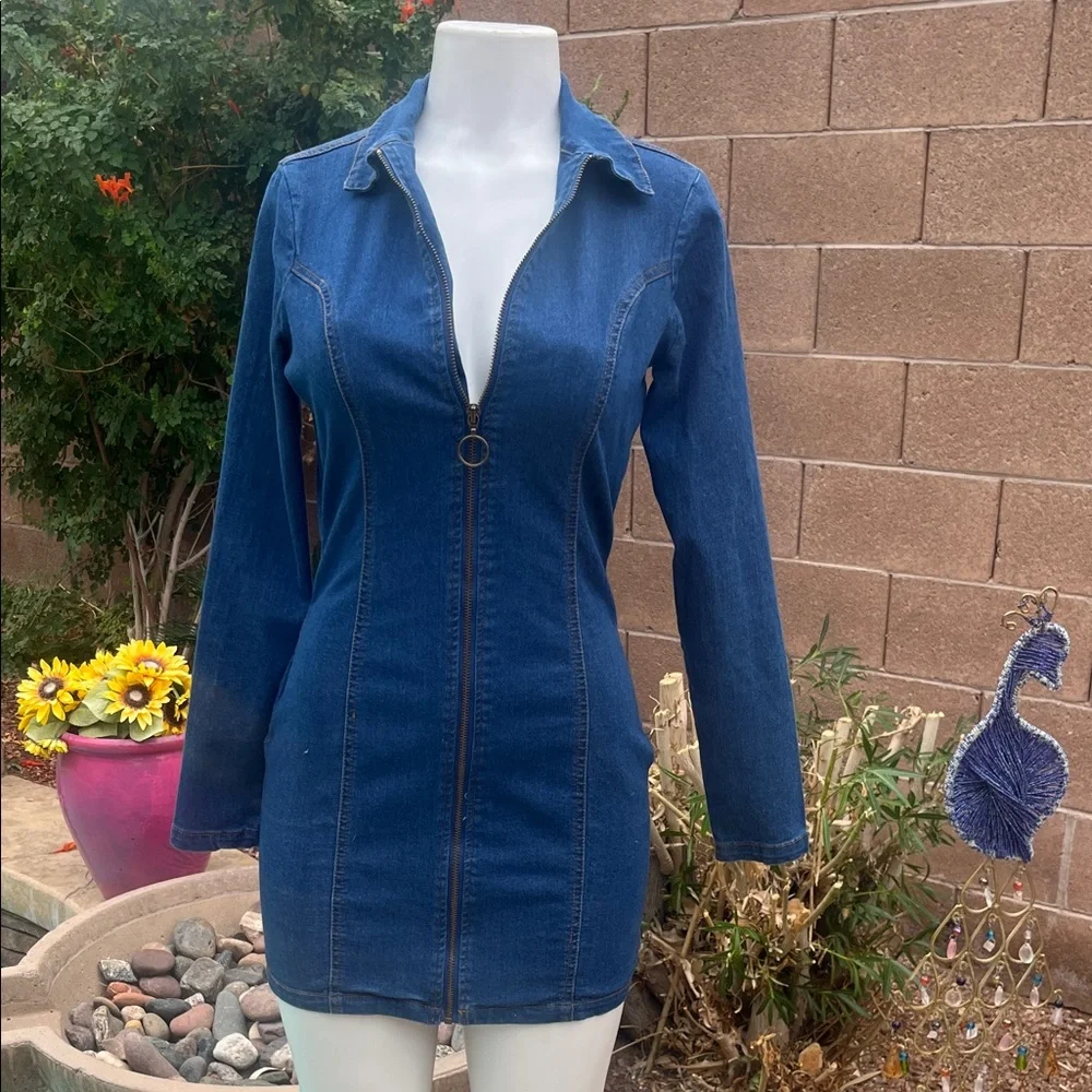 Denim Zip-Up Dress - Picture 1 of 8